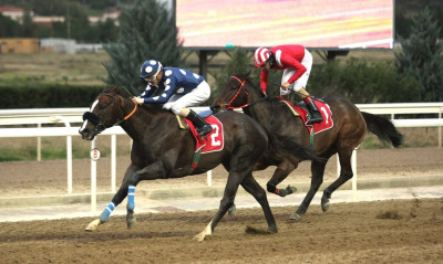 Ιπποδρομίες Α.Ε.: Εξελίξεις σχετικά με τις ελληνικές ιπποδρομίες