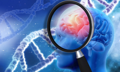 Η πρωτεΐνη-κλειδί που βάζει φρένο στο Αλτσχάιμερ