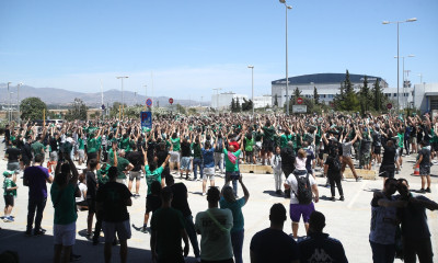 Παναθηναϊκός AKTOR: Νέα ώρα άφιξης των Πρωταθλητών Ευρώπης - Παράνοια στο αεροδρόμιο