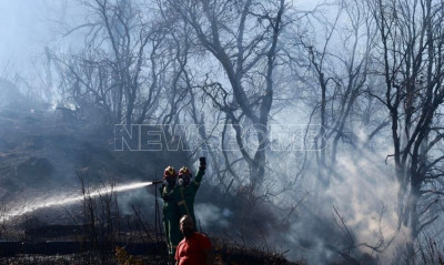 Πάρνηθα: Σώθηκε με τις υπερπροσπάθειες της Πυροσβεστικής