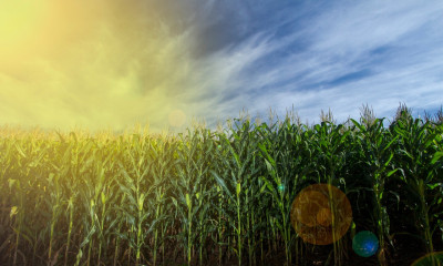 ΔΕΠΑ Εμπορίας: Ένας σύγχρονος καθετοποιημένος ενεργειακός όμιλος