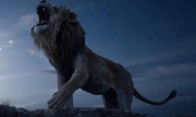 Ταϊλάνδη: Πώς τα λιοντάρια κατασπάραξαν τον φύλακα του ζωολογικού κήπου - Ανατριχιαστικές μαρτυρίες