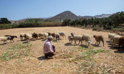 ΟΠΕΚΕΠΕ: Ξεκινούν οι πληρωμές στους αγρότες