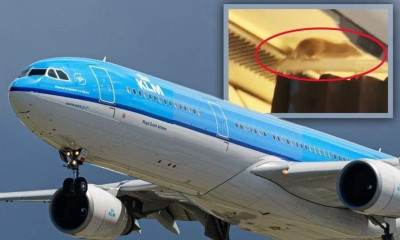 Ποντίκι «τρύπωσε» σε πτήση προς Άμστερνταμ - Εγκλωβίστηκαν στην Αρούμπα οι επιβάτες