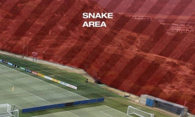 Ελβετία: Συναγερμός στο προπονητικό κέντρο λόγω δηλητηριωδών φιδιών (pic)
