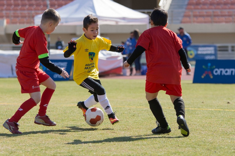 1. Sports Academies