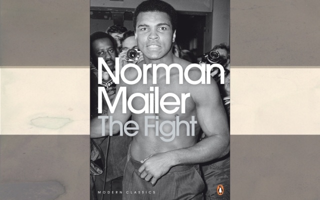 11 the fight 3503366k