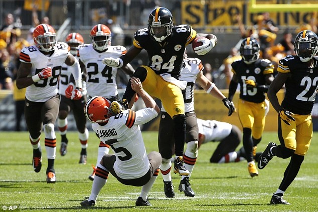 1410159594456 wps 15 Pittsburgh Steelers Anton