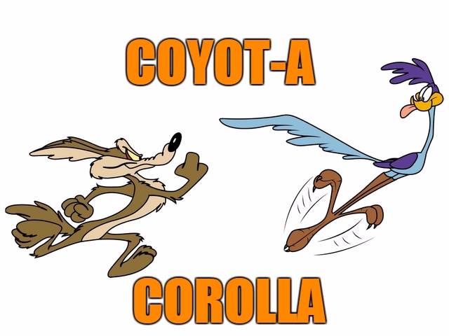 Corola