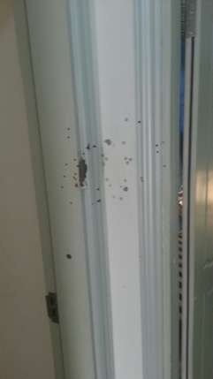 IMG-20141126-WA0009