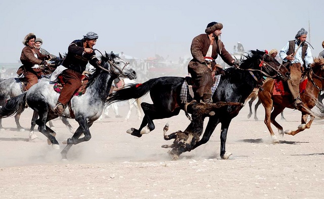 buzkashi