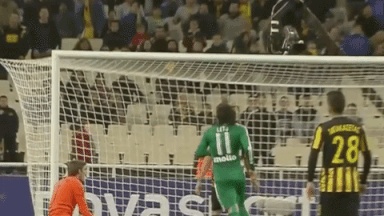 giphy downsized large