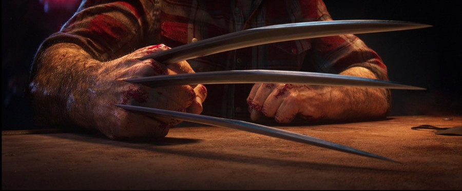 wolverine1.jpg