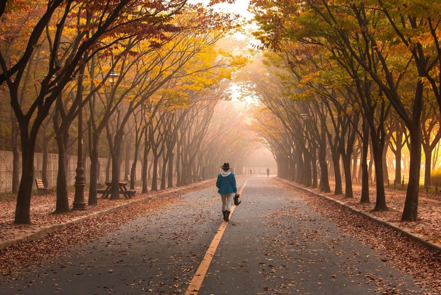 gangcunseong-road-57672211920.jpg
