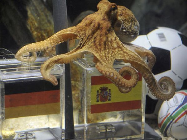 Aγαλμα στη μνήμη του Πάουλ