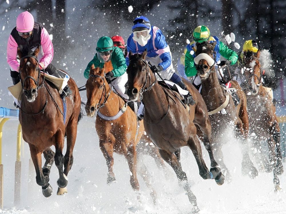 Ιππείς και άλογα σε δράση 