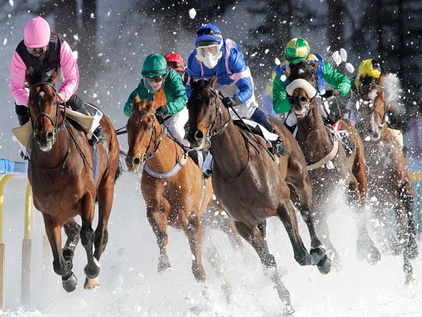 Ιππείς και άλογα σε δράση 