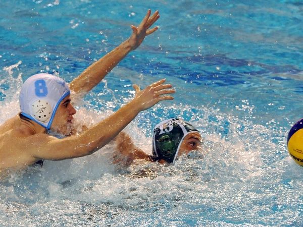 Το νέο Δ.Σ. της ΝΕΠ