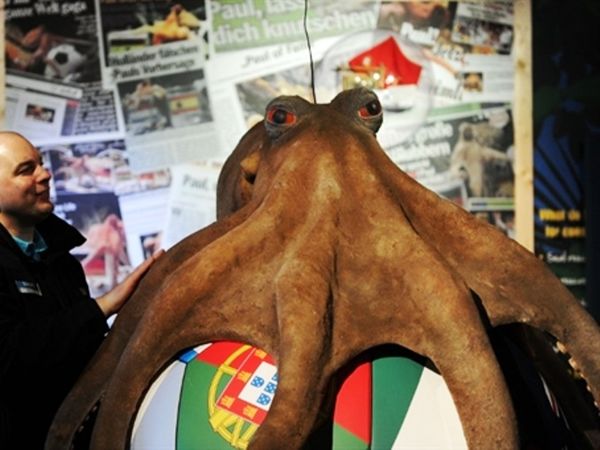 Ξεκίνησε η προετοιμασία