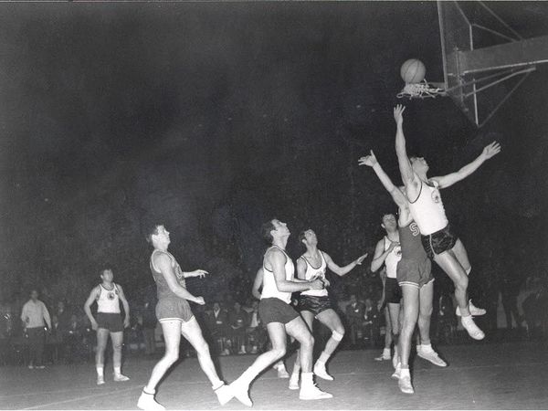 Η ΑΕΚ στα άλλα αθλήματα