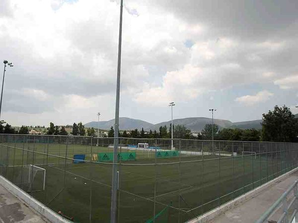 Δοκιμάζει ομογενή