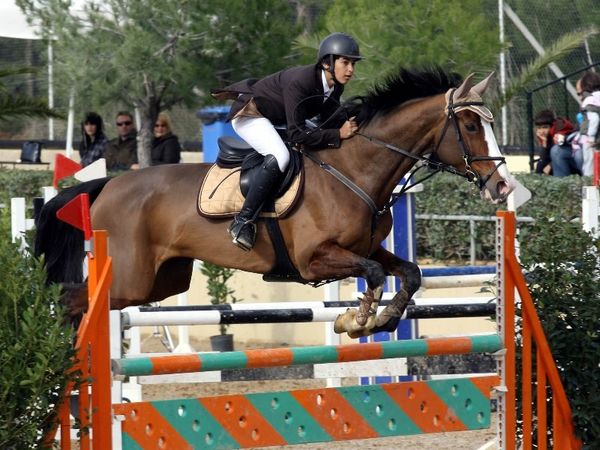 Tο «Athens Horseshow 2011»