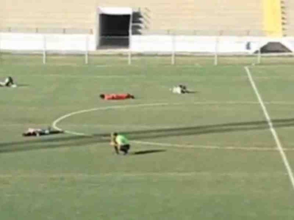 Σφήκες διέκοψαν αγώνα!