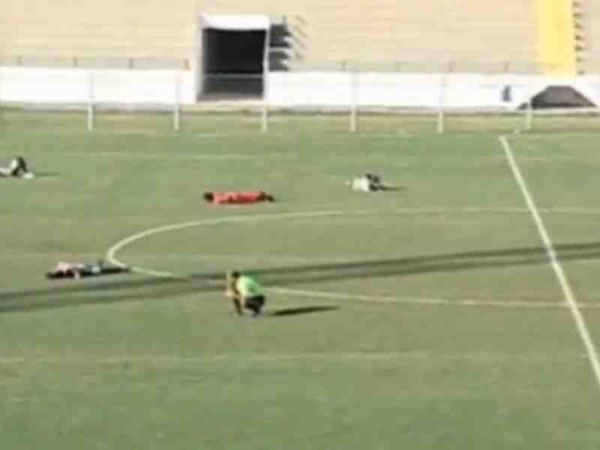 Σφήκες διέκοψαν αγώνα!