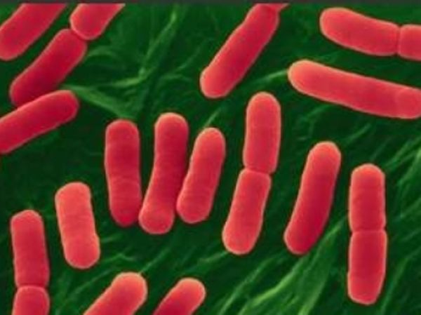 Διατροφικούς ελέγχους ζητά η Μαδρίτη