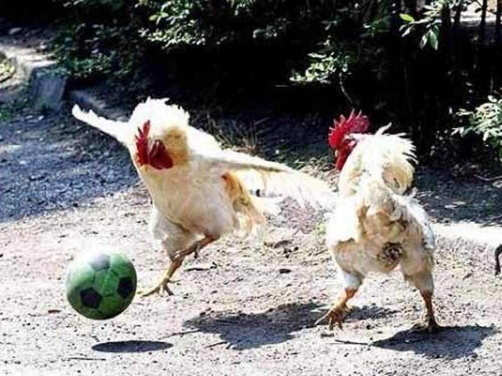 Θα δράσουν ή… θα αποδράσουν;