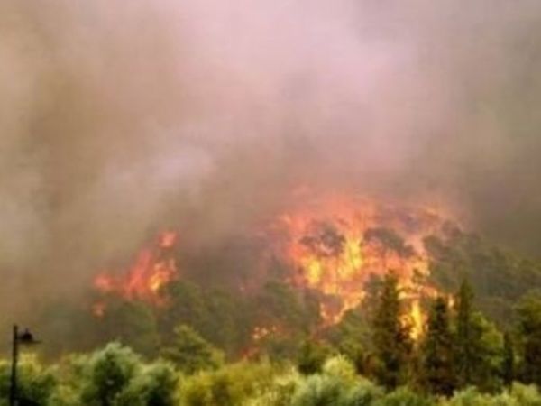 Πύρινος εφιάλτης στη Ζάκυνθο!