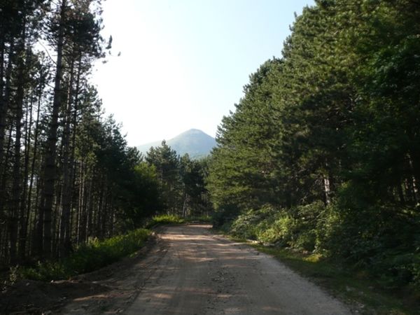 Ψάχνει κέντρο ο Πανσερραϊκός