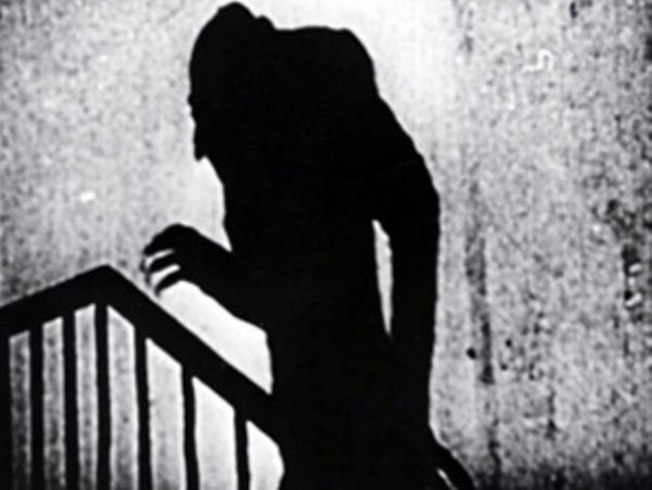 Η γάτα… Νοσφεράτου!