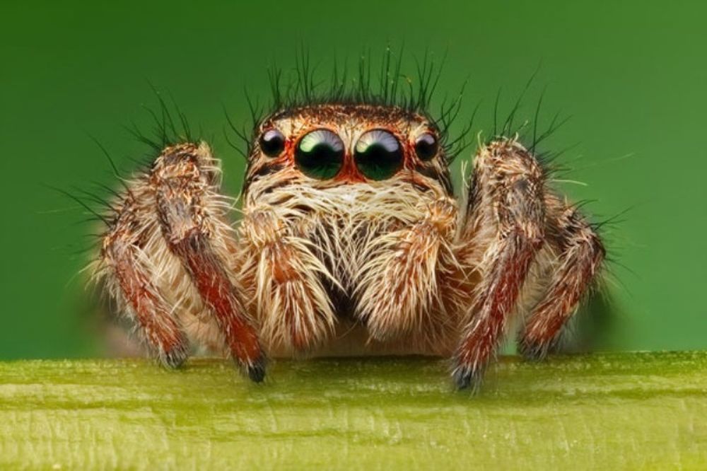 Τριάντα φωτογραφίες που θα σας αφήσουν άφωνους