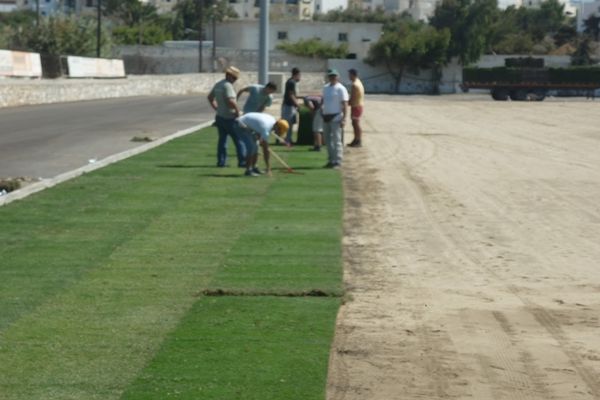 Χλοοτάπητας… Τούμπας στη Νάξο (photos)