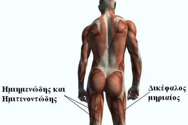 Θλάση οπίσθιων μηριαίων