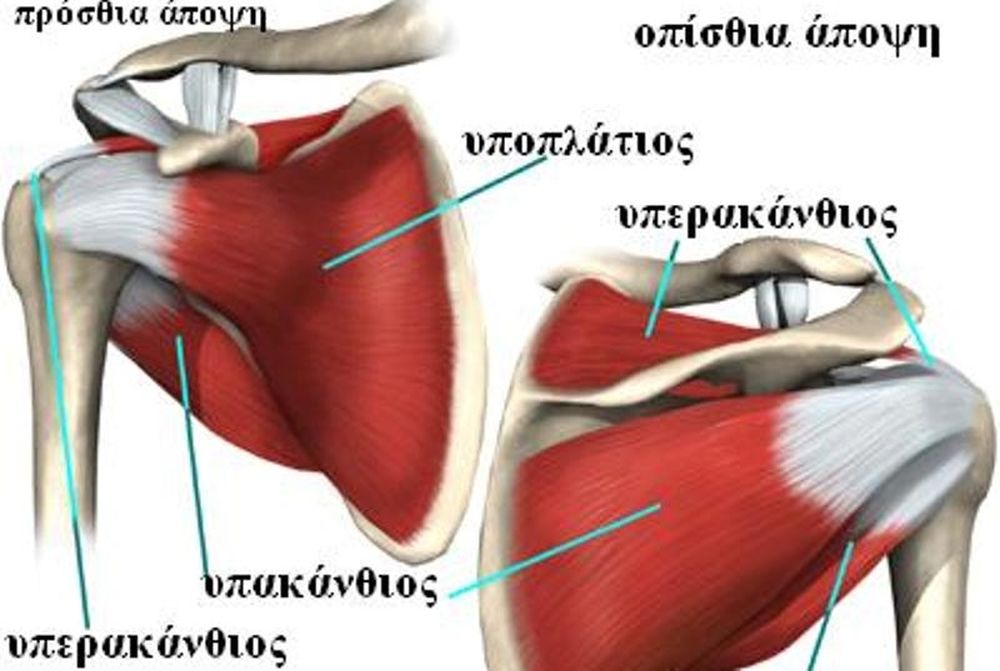 Ρήξη των στροφέων μυών του ώμου