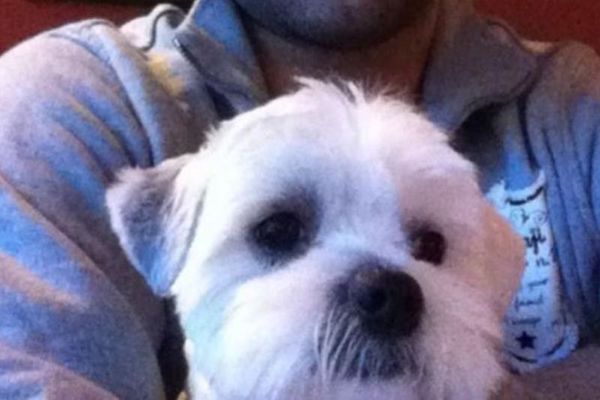 Σε ποιον γνωστό ποδοσφαιριστή ανήκει αυτό το σκυλάκι;