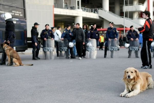 Τα σκυλιά της Αστυνομίας και ο… Τζακ!