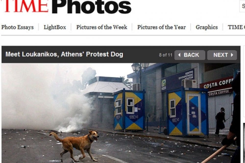 ΤΙΜΕ: Λουκάνικος, ο σκύλος των διαμαρτυριών