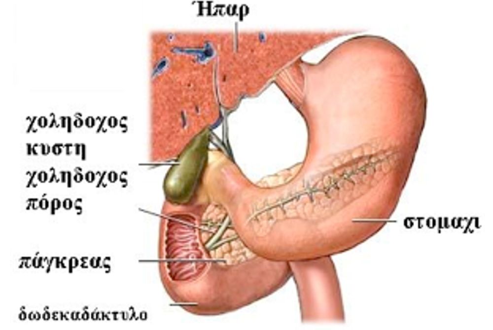 Χειρουργικές παθήσεις στομάχου - Δωδεκαδακτύλου