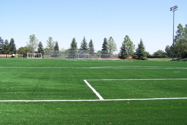 Χρυσές δουλειές για εταιρία με συνθετικούς χλοοτάπητες!