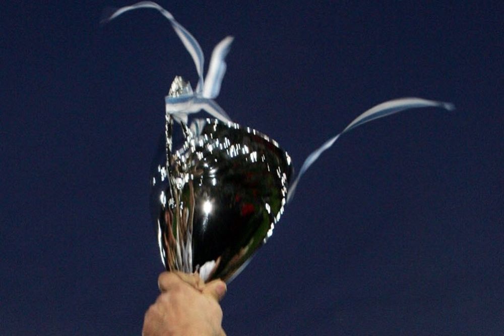 Κυπελλούχος Χαλκιδικής ο Διγενής!