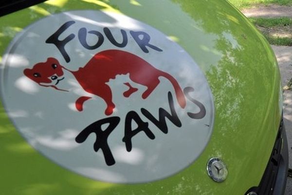 Euro 2012: Βρέθηκε λύση για τα αδέσποτα
