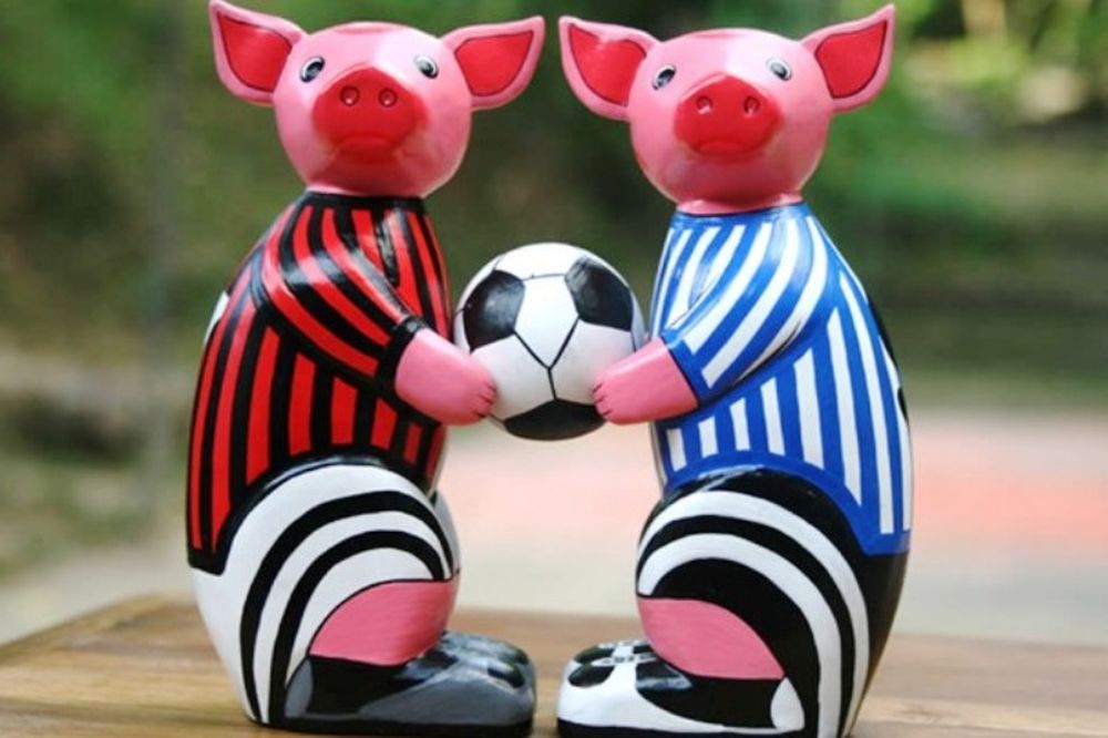 Euro 2012: Προβλέψεις από… γουρούνια!