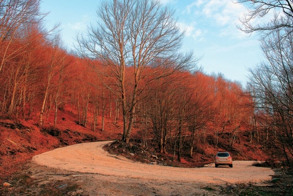 Πανσερραϊκός: Αποφασίζει για προπονητικό κέντρο
