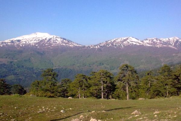 ΑΕΛ: Σαμαρίνα για... σήμερα