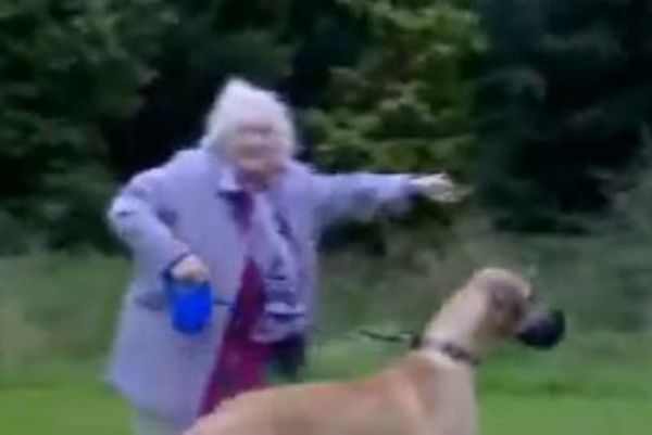 Ποιος είναι τελικά το... αφεντικό; (video)