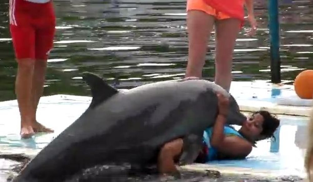 Tι κάνει το δελφίνι στην κοπέλα; (Video)