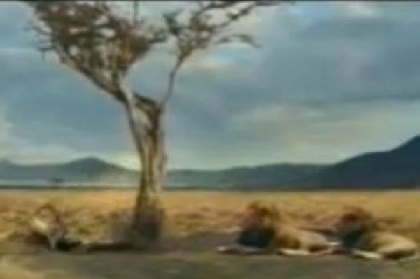 Παράδοση… κατ’ οίκον